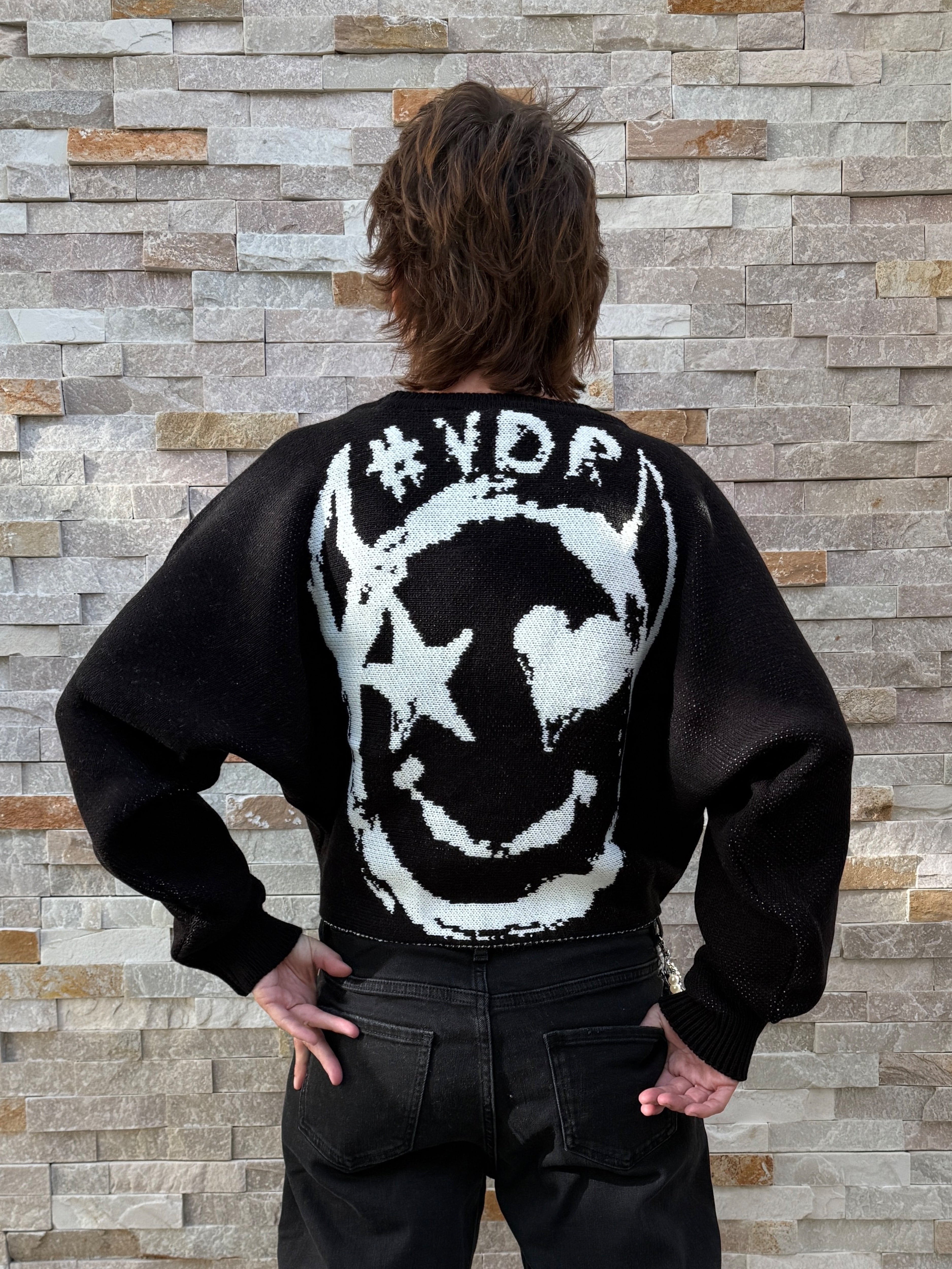 Pullover mit Intarsien auf dem Rücken Schwarz
