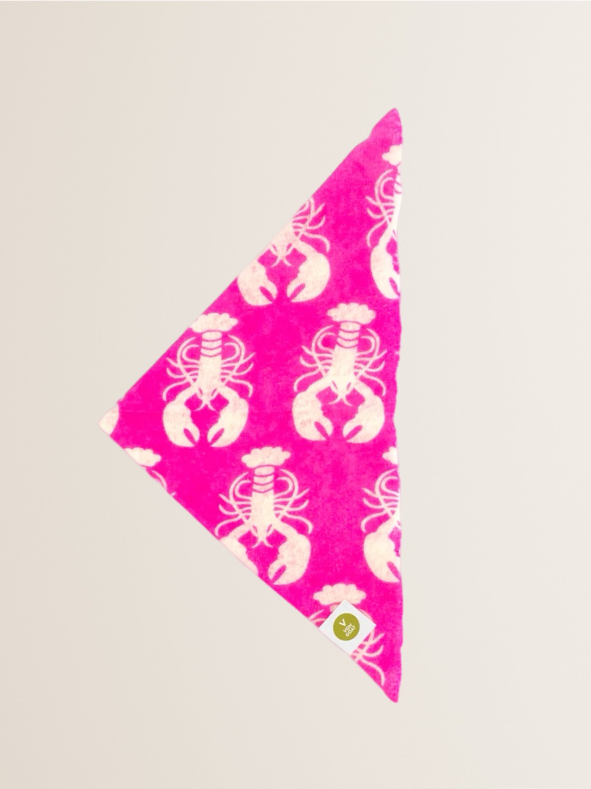 Cashmere Bandana Lobster Pink