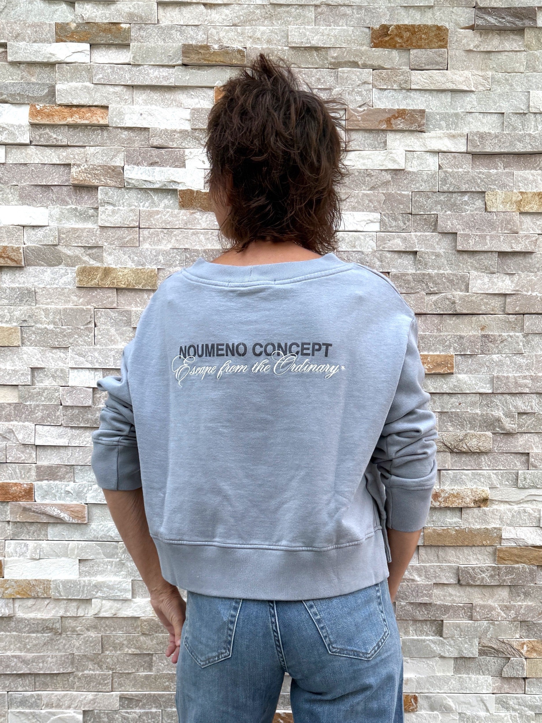 Cropped Sweatshirt mit Rückenprint Grau
