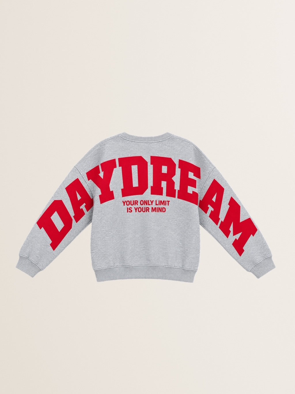 Oversized LA Daydream Sweatshirt in Grey